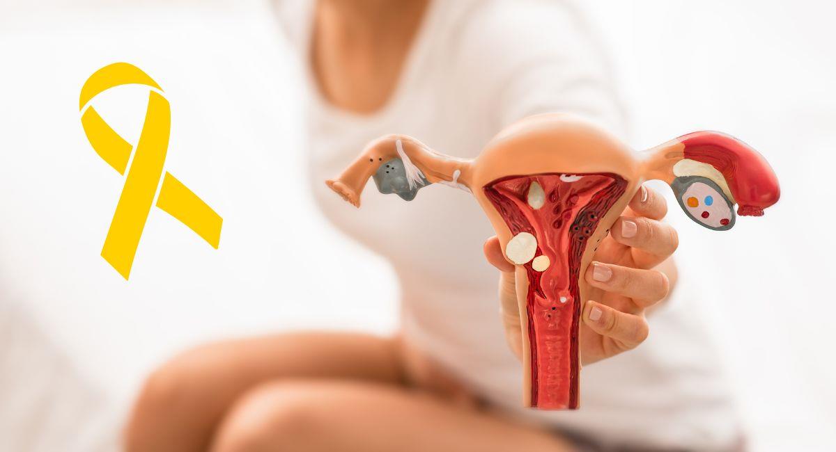 Aprobado proyecto de ley para diagnosticar y tratar la endometriosis. Foto: Shutterstock