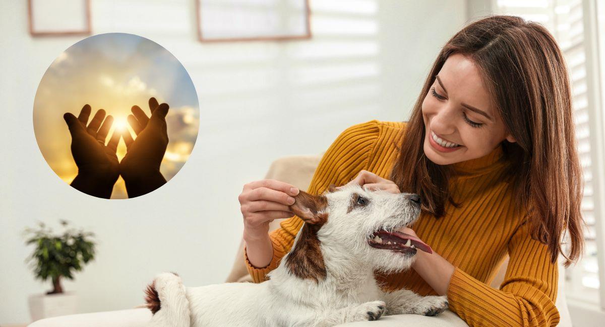 ¿A qué santos puedo encomendar a mis mascotas?. Foto: Shutterstock