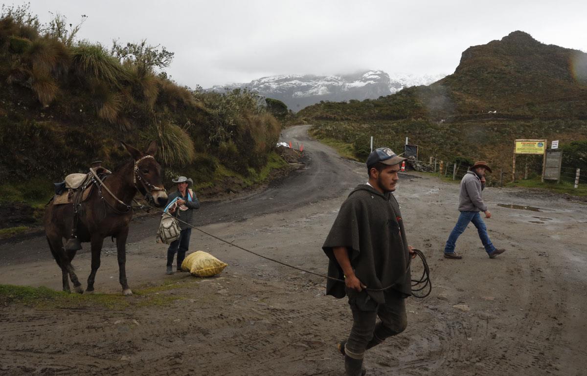Detectan aumento de actividad sísmica en el volcán Nevado del Ruiz. Foto: EFE