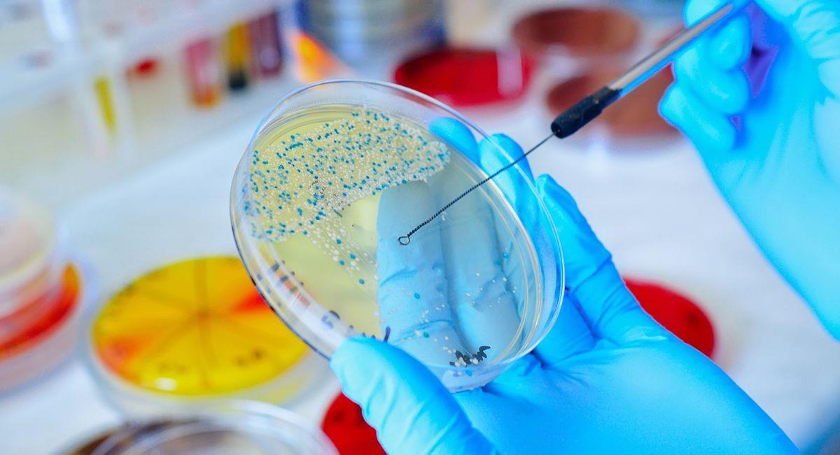 Resistencia a los antibióticos, una problemática de salud pública. Foto: Shutterstock
