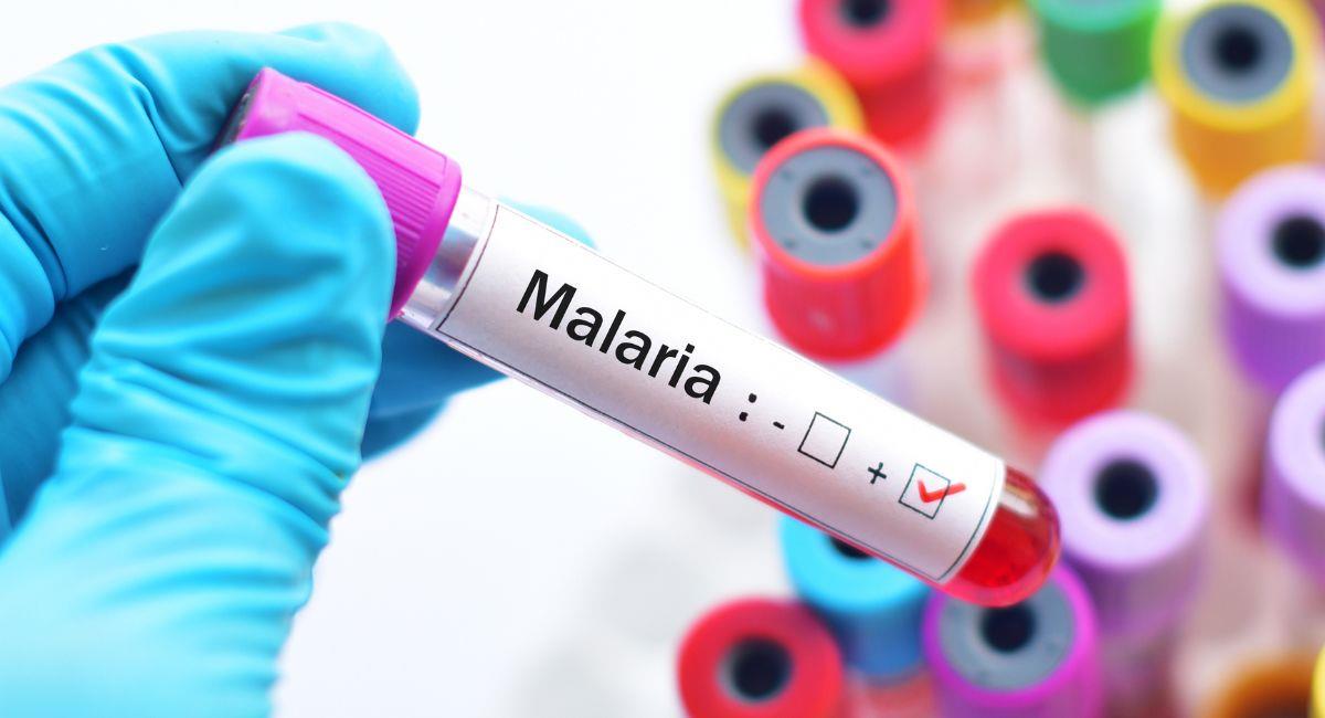 ¡Alerta! Aumento de casos de malaria en Costa Rica causa pánico en la comunidad. Foto: Shutterstock