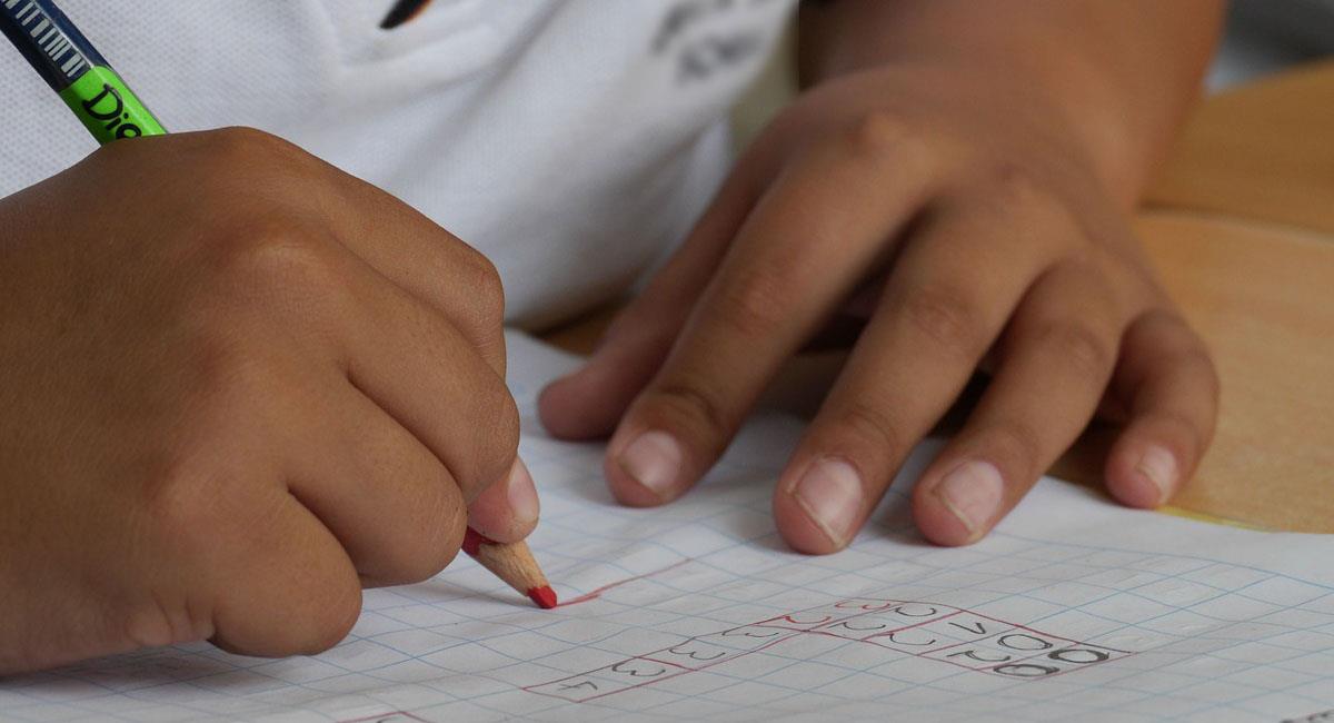 Un niño de 11 años proveniente de Venezuela era presunta víctima de xenofobia en un colegio. Foto: Pixabay