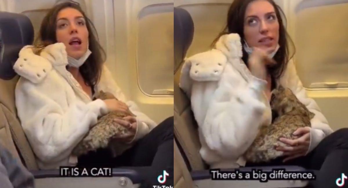 Descubren a mujer amamantando a un "gato" en pleno vuelo. Foto: Twitter Captura de video @_CrashTrash