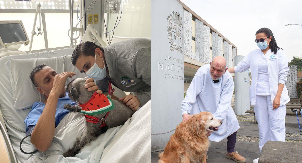 Promueven la visita terapéutica de mascotas a pacientes en UCI. Foto: Oficina de Comunicaciones HUN