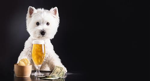 La Pola Fest: anuncian cerveza para perros