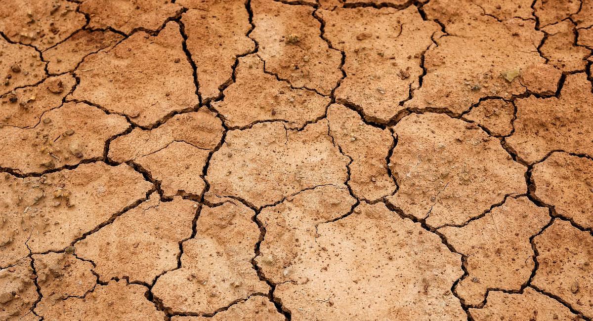 Las sequías se presentarán como consecuencia del aumento en la temperatura mundial. Foto: Pixabay