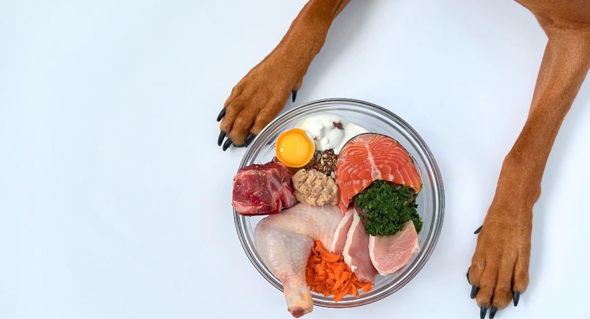 Beneficios de la dieta BARF para perros. Foto: Shutterstock