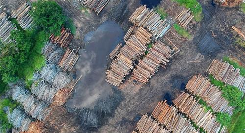 El Ministerio de Ambiente da un golpe decisivo contra la deforestación