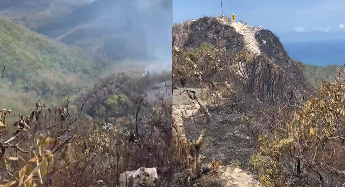 Un incendio en la isla de Providencia ha generado una emergencia ambiental. Foto: Twitter @ArneBritton