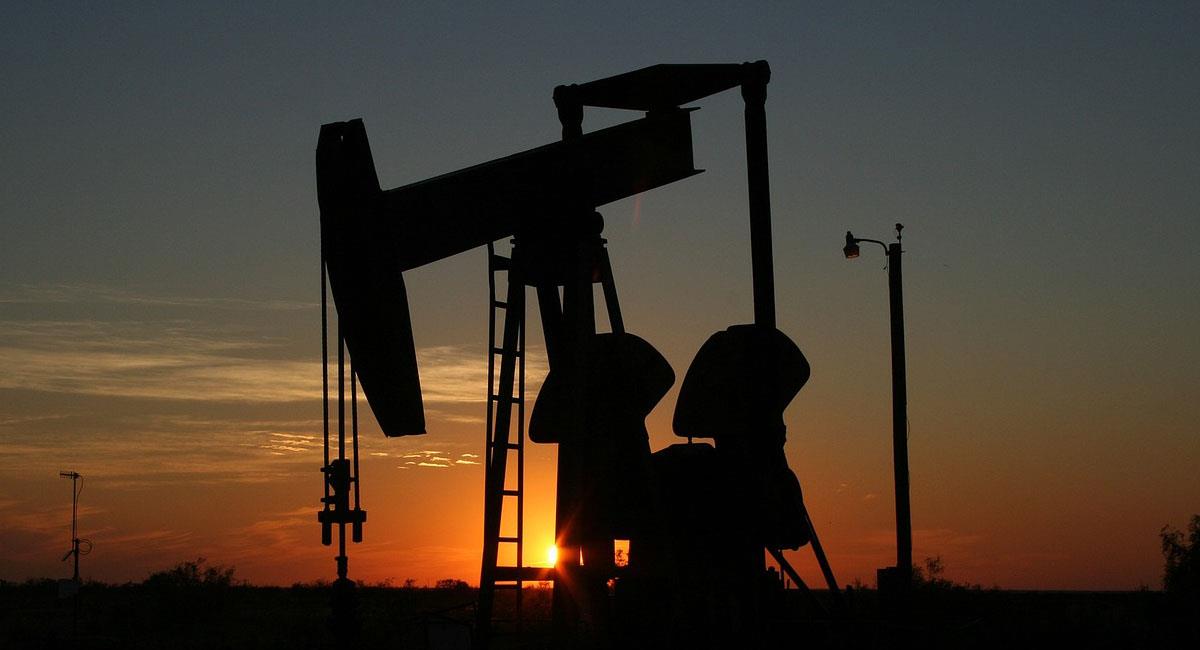 Fue hallado petróleo en un pozo cercano a una zona de reservas en el Meta. Foto: Pixabay