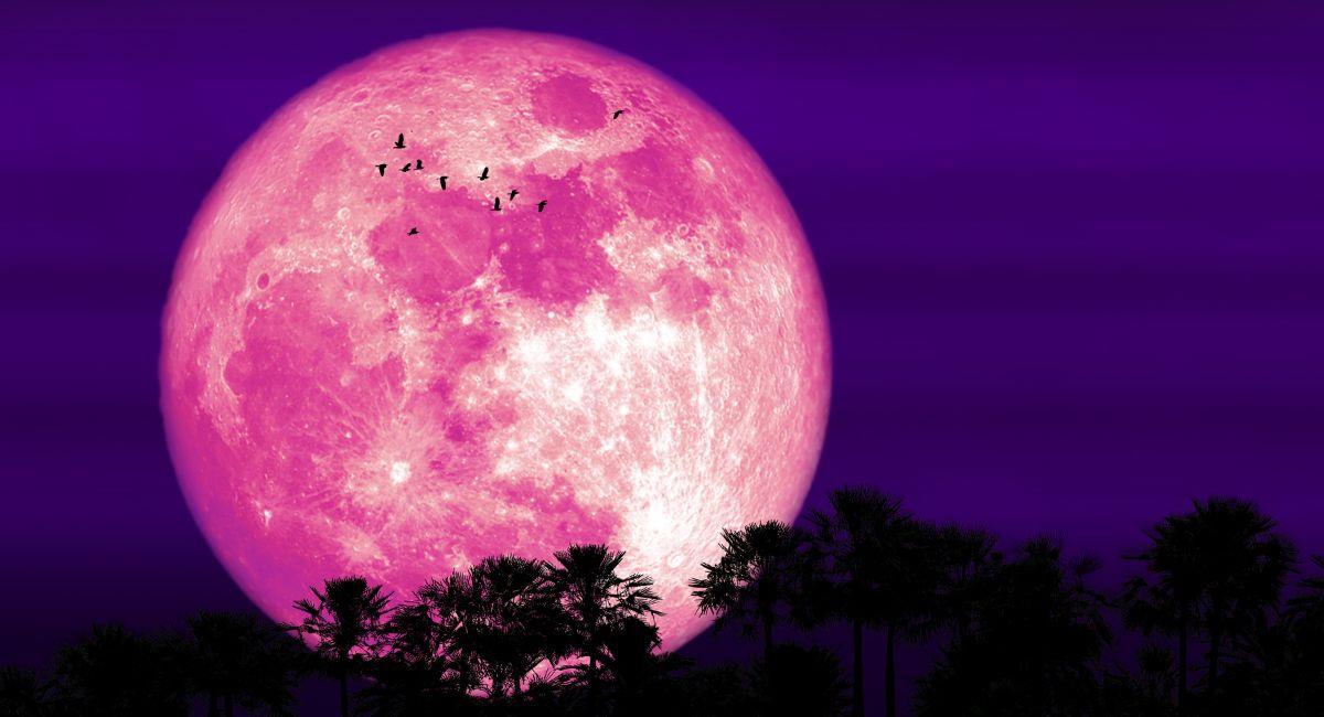 Ritual de Abundancia para la Luna llena de junio. Foto: Shutterstock