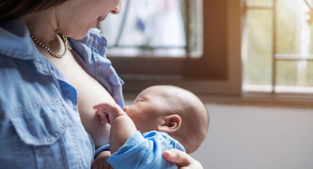 Leche materna vs fórmula: ¿cuál es la mejor?. Foto: Shutterstock