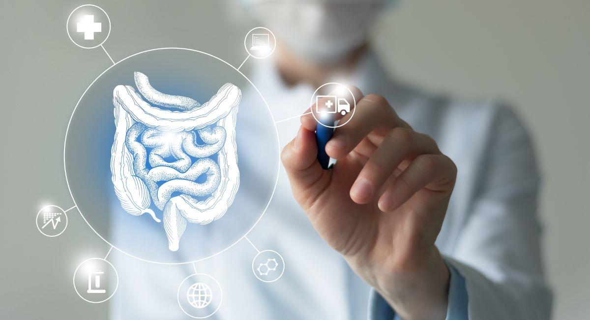 Síndrome del intestino irritable: ¿cómo manejarlo?. Foto: Shutterstock