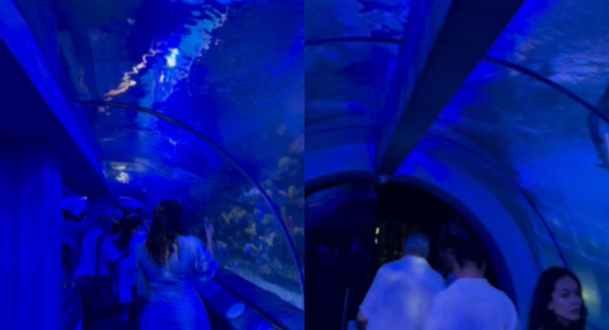 Túnel subacuático de Santa Marta. Foto: Instagram @santamartaiscrazy