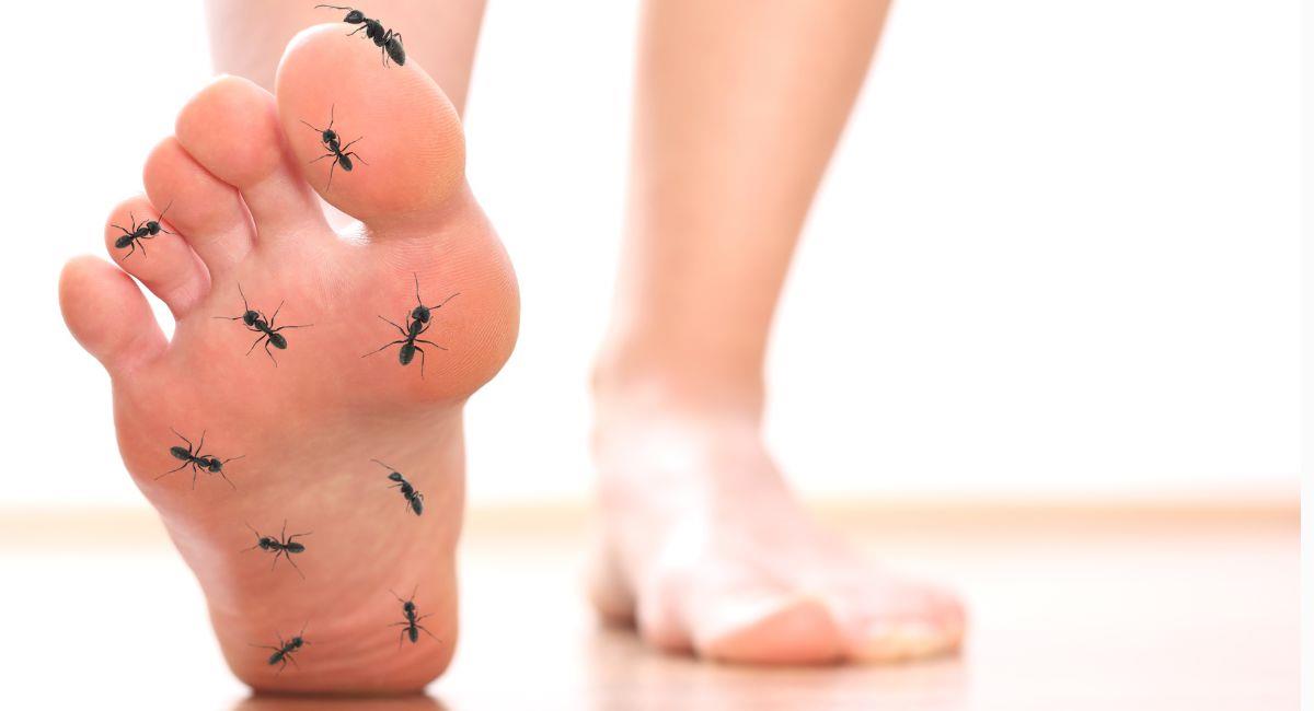Enfermedades que causan hormigueo en los pies. Foto: Shutterstock