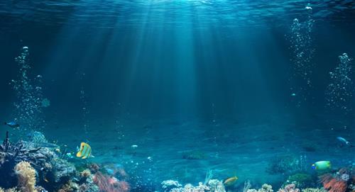 ¿Salud marina en peligro? Se crean estrategias para controlar la reproducción de virus en océanos