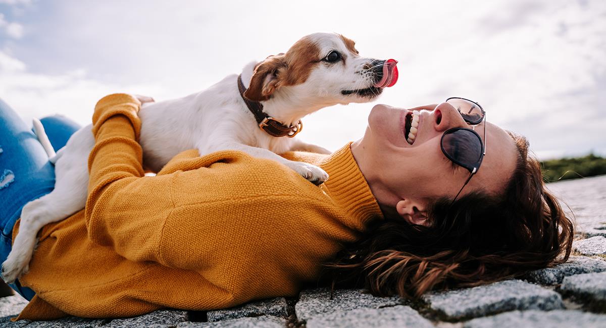 Sabías qué: hay 7 beneficios de tener un perro como mascota, según los expertos. Foto: Shutterstock