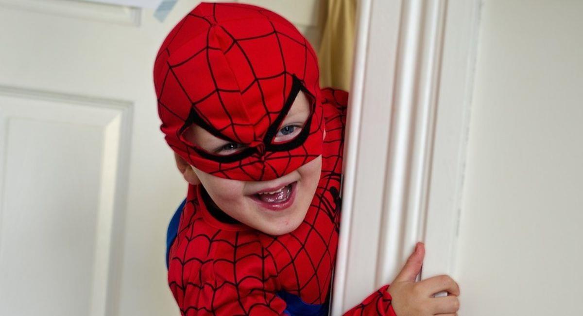 Niños son mordidos por una araña viuda negra porque querían ser Spider-Man. Foto: Pixabay