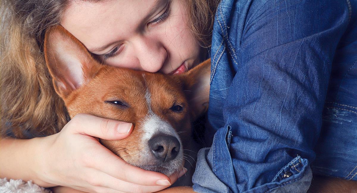 Oración por la salud de tu perro: reza para que pueda sanar y volver a estar bien. Foto: Shutterstock