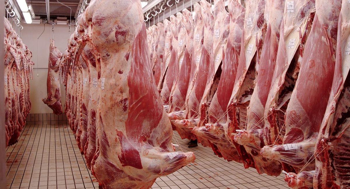 Colombianos tendrían subsidio para comprar carne. Foto: Pixabay