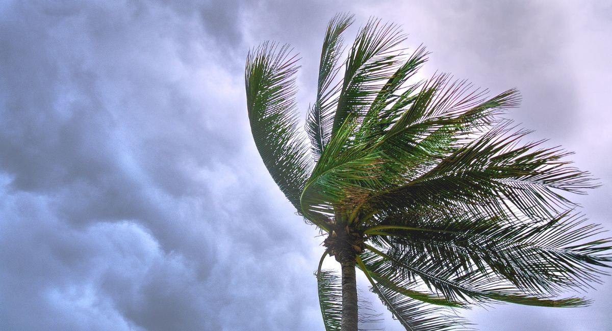Alarma en el Atlántico por fuertes lluvias. Foto: Pexels