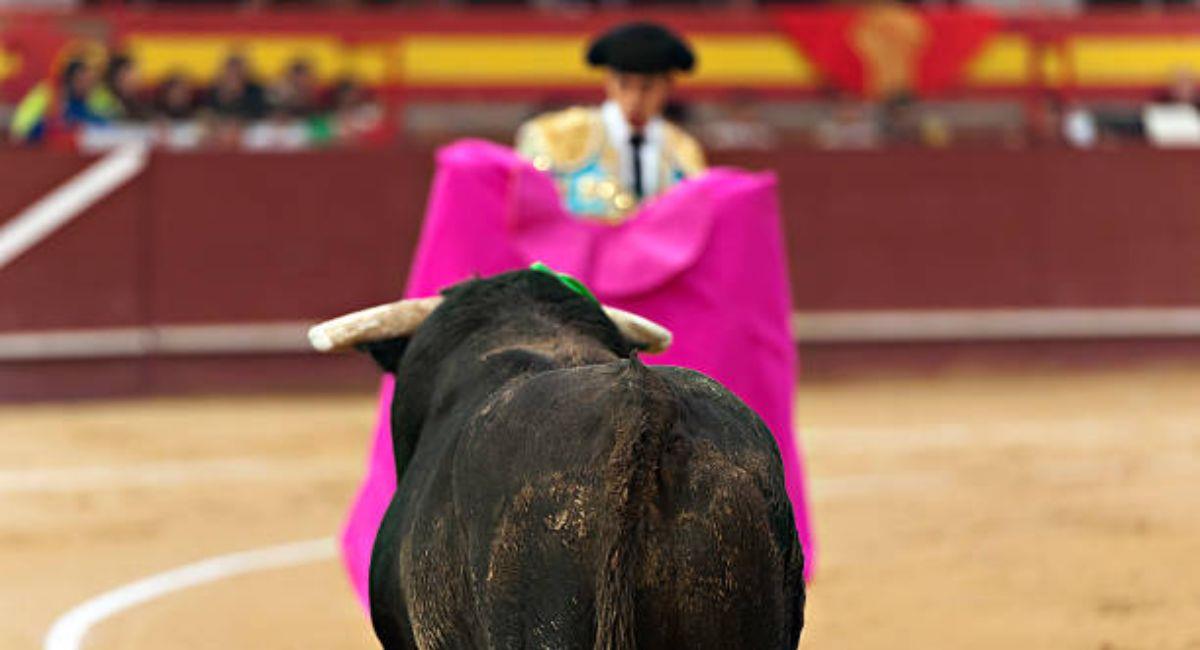 Las corridas de toro también son vistas como un tema cultural por el cual muchos defienden. Foto: iStock