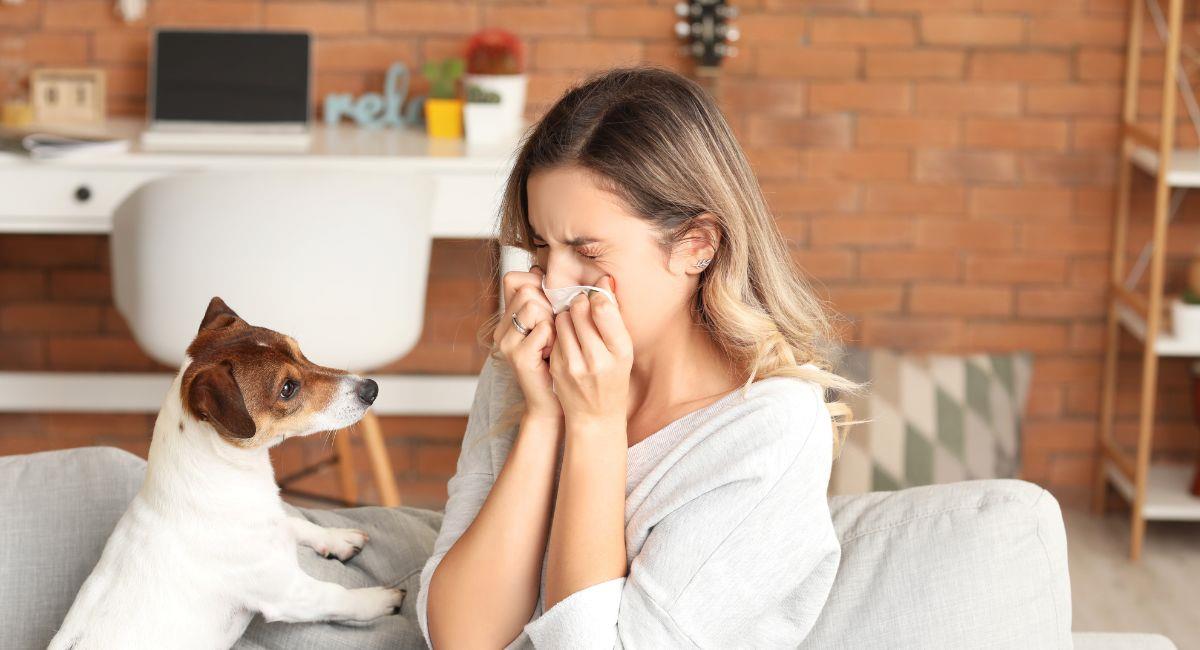¿Cómo mitigar mi alergia a las mascotas?. Foto: Shutterstock