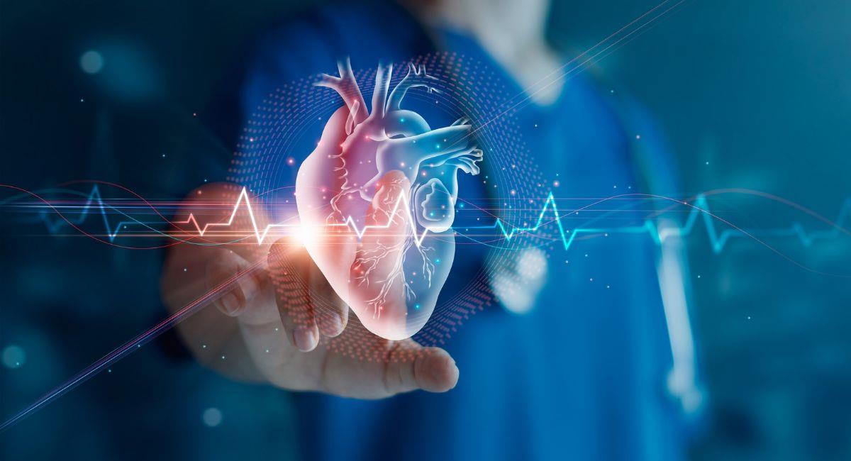 ¿Cómo proteger la salud de mi corazón?. Foto: Shutterstock