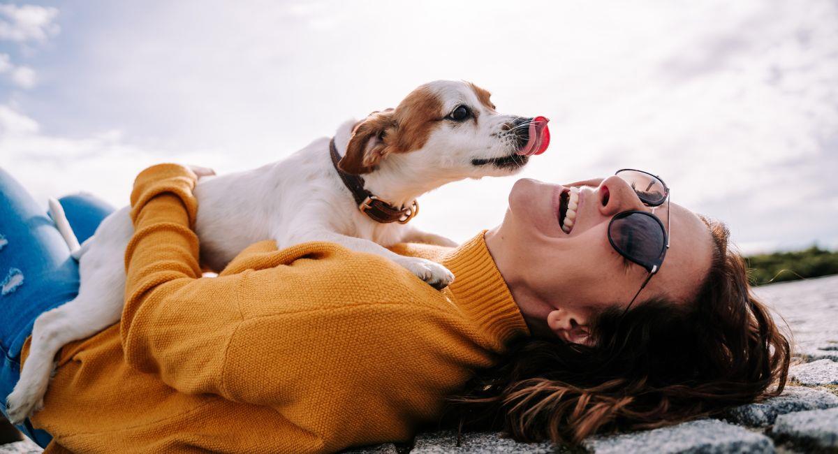¿Cómo proteger a mi mascota durante el eclipse solar?. Foto: Shutterstock