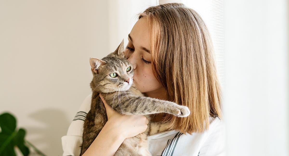 Hay 5 tipos de dueños de gatos, según estudio: ¿cuál eres tú?. Foto: Shutterstock
