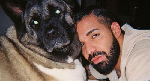 Drake anuncia su retiro temporal de la música por motivos de salud