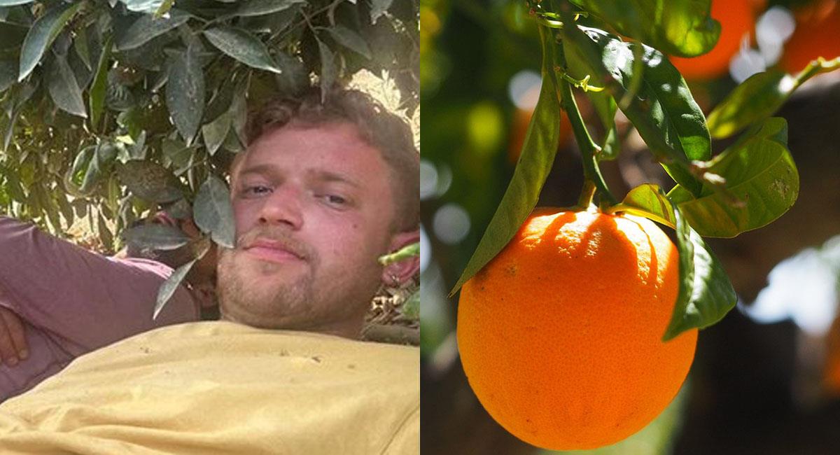 Gal Katz logró sobrevivir a la matanza de HAMÁS EN israel refugiéndose en un naranjal. Foto: Twitter @CNN / pixabay