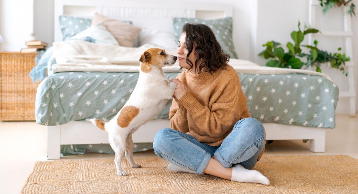 Esta es la lista de las razas de perros más cariñosas. Foto: Shutterstock