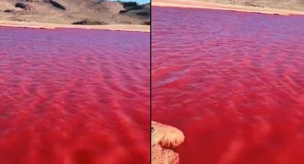 Captura de pantalla. Río Nilo se tiñe de rojo sangre alertando a los creyentes. Foto: Twitter