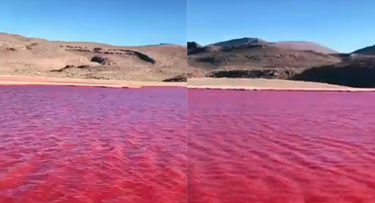 ¿Río Nilo se tiñó de rojo? Creyentes aseguran que es por profecía bíblica. Foto: Twitter