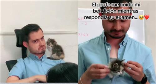 Profesor enternece al internet al cuidar a gato de alumna