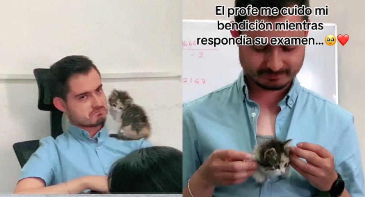 Profesor enternece al internet al cuidar a gato de alumna. Foto: TikTok