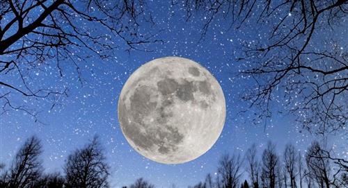 Luna Llena de Castor: Conoce el origen de su nombre y cuándo apreciarla