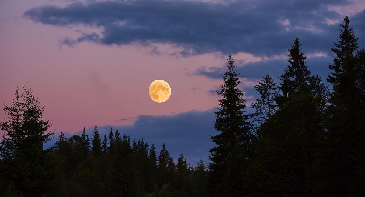Ritual para aprovechar la energía de la Luna de Duelo de este mes. Foto: Shutterstock
