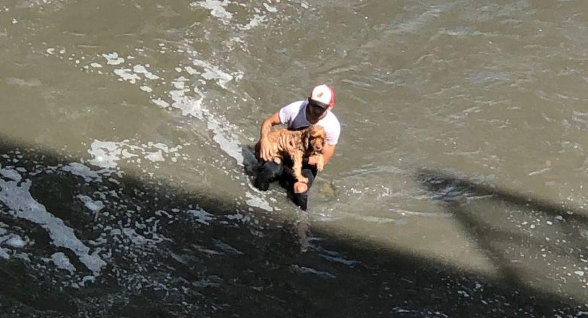 Hombre rescata a un perrito que cayó al río Medellín. Foto: Twitter