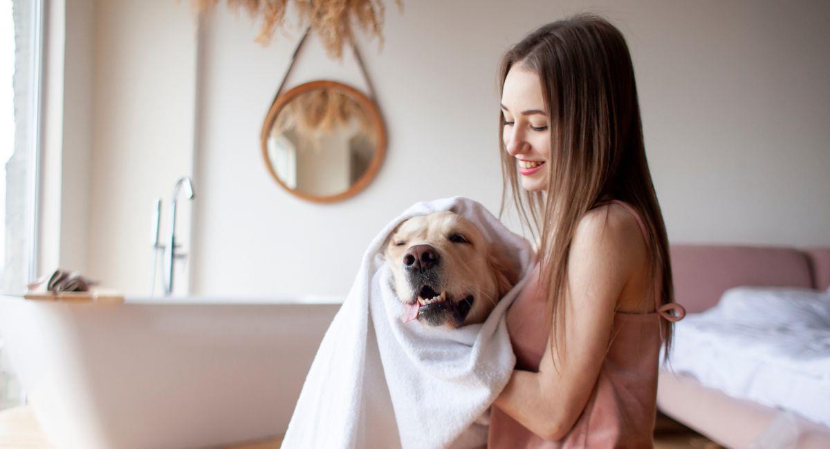 ¿Cómo hacer un baño seco para mascotas casero?. Foto: Shutterstock
