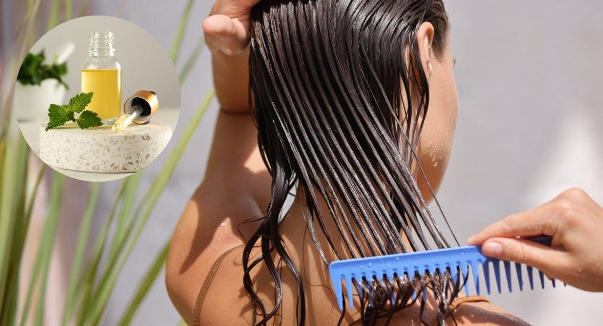 Conoce los beneficios de la ortiga para el cabello. Foto: Shutterstock