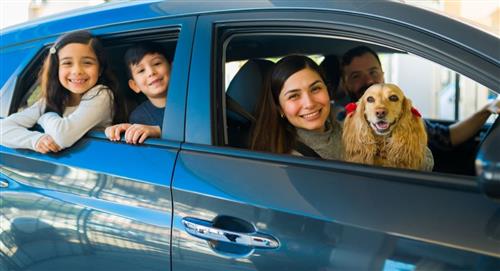 Recomendaciones para viajar con mascotas por carretera este diciembre