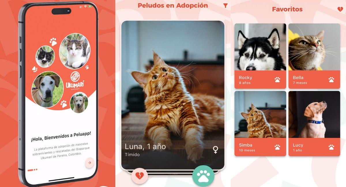 Esta es la aplicación en la que puedes adoptar perros y gatos. Foto: AppStore