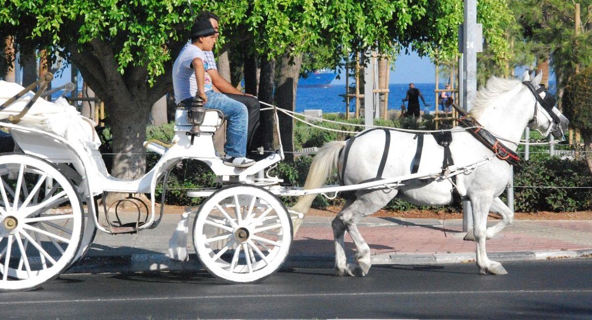 Estafaron a una turista en Cartagena con un millonario paseo en coche. Foto: Pixabay