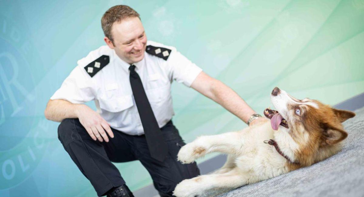 Perro celebró su última navidad ayudando a las mascotas más vulnerables. Foto: merseyside.police.uk