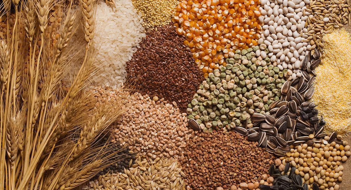 Paso a paso para hacer el ritual de las semillas: haz esto en enero para un buen 2024. Foto: Shutterstock