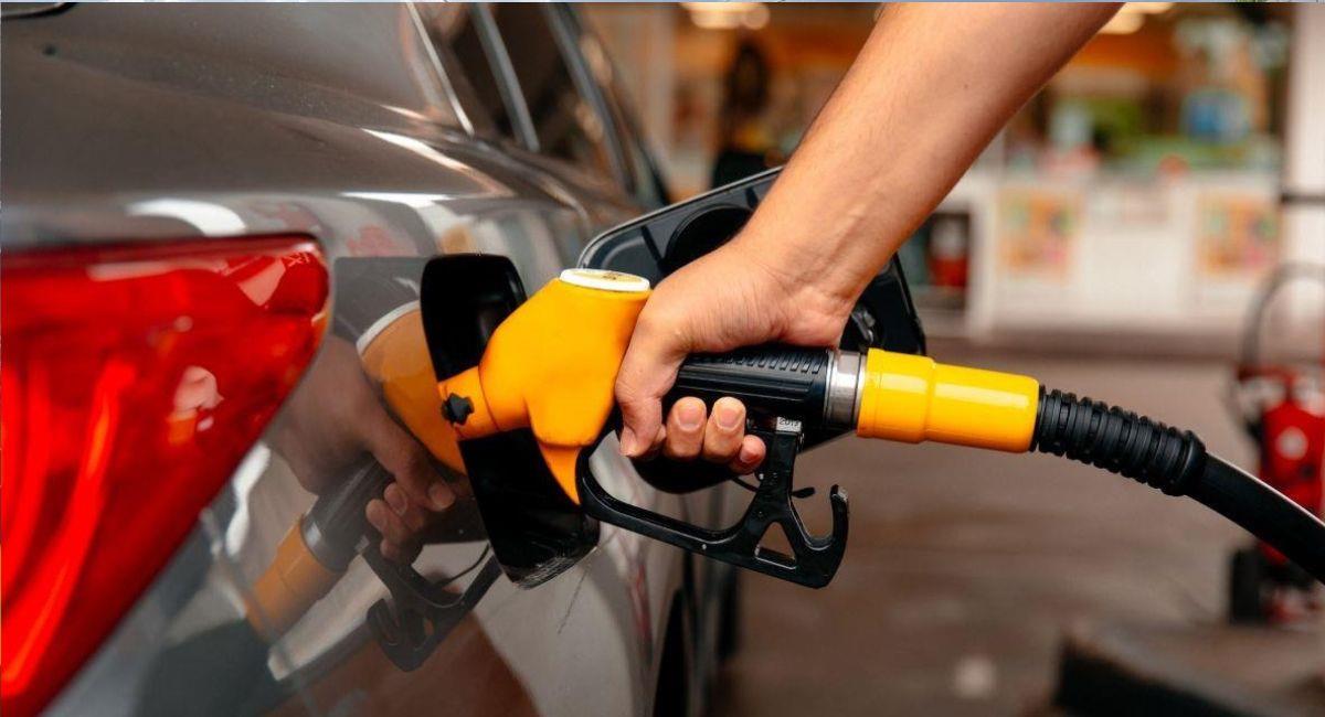 Precio de la gasolina
. Foto: Shutterstock