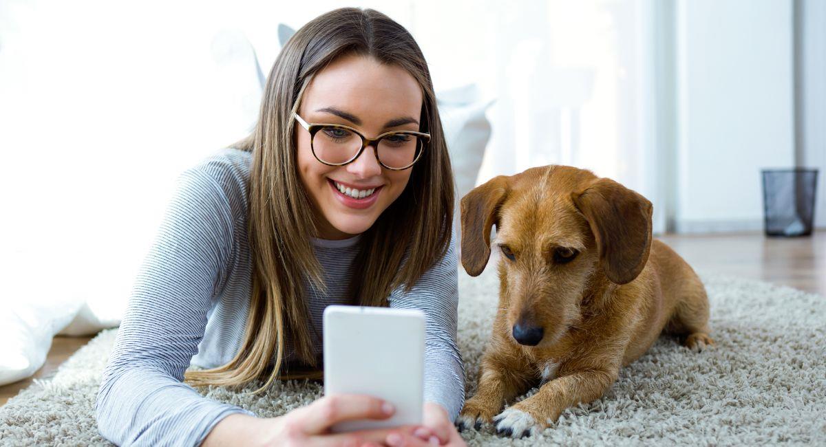 La ciencia revela cuáles son las 10 palabras que entiende tu perro. Foto: Shutterstock