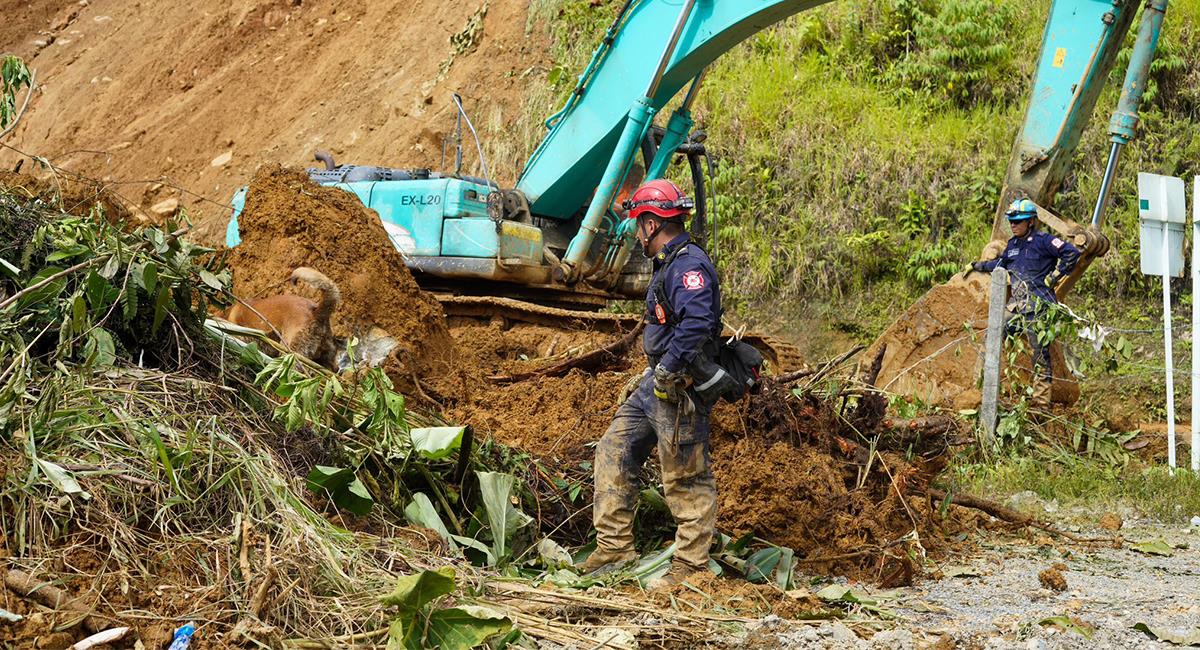 Perro pasó 2 días enterrado tras la tragedia del Chocó: así fue su rescate. Foto: Twitter @GobChoco